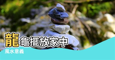 龍龜朝向|龍龜的風水作用與擺放方法